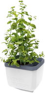 Gusta Garden HERBS BUDDY samozavlažovací, bílý - Truhlík