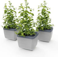 Gusta Garden HERBS BUDDY samozavlažovací, světle šedý, 3 ks - Truhlík