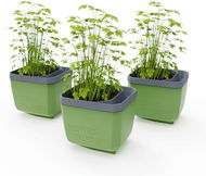 Gusta Garden HERBS BUDDY samozavlažovací, zelený, 3 ks - Truhlík