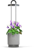 Click and Grow Smart Garden 1 HydroVase, grau - Smart-Blumentopf