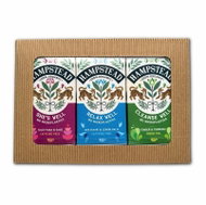 Hampstead Tea BIO Wellness Tea Selection Gift Pack 3 × 20 pcs - Tea