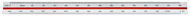 LINEX 313 30 cm poměrové - Pravítko