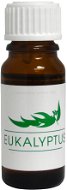 Hanscraft - Eukalyptus (10 ml) - Ätherisches Öl