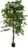 Hawaj Dekorativní umělý citrus 180 cm - Artificial Flower