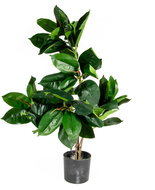 Hawaj Dekorativní umělý fíkovník 80 cm - Artificial Flower