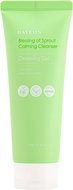 Hayejin Blessing of Sprout Calming Cleanser 170 ml - Cleansing Gel
