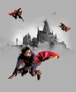 Fototapeta 3dílná, Harry Potter FTD3P5167, 225 x 270 cm - Fototapeta