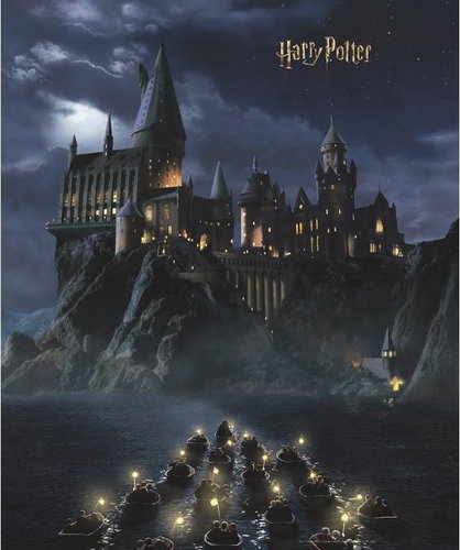 Fototapeta 3dílná, Harry Potter FTD3P5175, 225 x 270 cm - Fototapeta - Main image