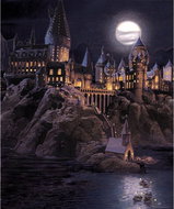 Fototapeta 3dílná, Harry Potter FTD3P5177, 225 x 270 cm - Fototapeta