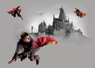 Fototapeta 4dílná, Harry Potter DTD4P5095, 300 x 270 cm - Fototapeta