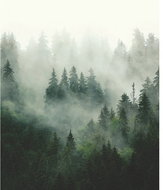 Fototapeta 3dílná, WOOD MAGIC FT3P5903, 225 x 270 cm - Fototapeta