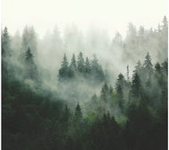 Fototapeta 4dílná, WOOD MAGIC FT4P5703, 300 x 270 cm - Fototapeta