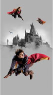 Fototapeta 2dílná,  Harry Potter FTD2P5613, 150 x 270 cm - Fototapeta