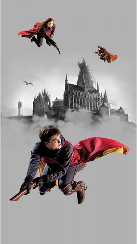 Fototapeta 2dílná,  Harry Potter FTD2P5613, 150 x 270 cm - Fototapeta - Main image