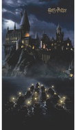 Fototapeta 2dílná,  Harry Potter FTD2P5621, 150 x 270 cm - Fototapeta