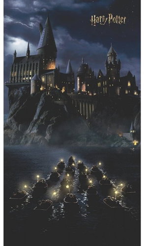 Fototapeta 2dílná,  Harry Potter FTD2P5621, 150 x 270 cm - Fototapeta - Main image