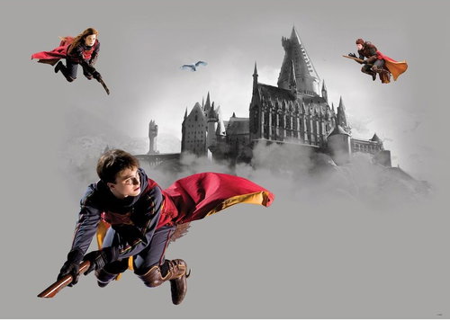 Fototapeta 1dílná,  Harry Potter FTDNM5293, 155 x 110 cm - Fototapeta - Main image