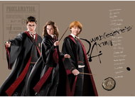 Fototapeta 1dílná,  Harry Potter FTDNM5295, 155 x 110 cm - Fototapeta