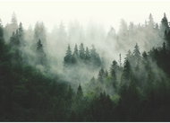 Fototapeta 1dílná,  WOOD MAGIC FTNM7707, 155 x 110 cm - Fototapeta