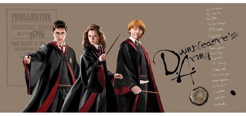 Fototapeta 1dílná,  Harry Potter FTDNH5515, 170 x 75 cm - Fototapeta - Main image