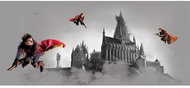 Fototapeta 1dílná,  Harry Potter FTDNH5517, 170 x 75 cm - Fototapeta