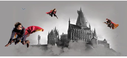 Fototapeta 1dílná,  Harry Potter FTDNH5517, 170 x 75 cm - Fototapeta - Main image