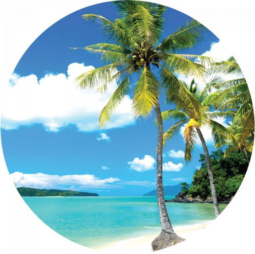 Samolepicí dekorace kulatá,  Palms On Beach CR3205, 70 x 70 cm - Self-Adhesive Decoration - Main image