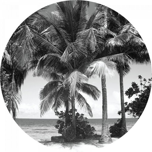 Samolepicí dekorace kulatá,  Monochromatic Palms CR3209, 70 x 70 cm - Self-Adhesive Decoration - Main image