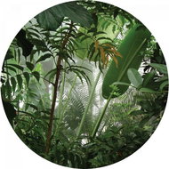 Samolepicí dekorace kulatá,  Jungle CR3213, 70 x 70 cm - Self-Adhesive Decoration