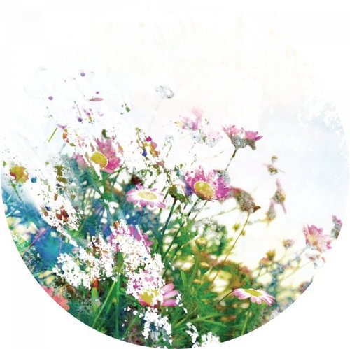 Samolepicí dekorace kulatá,  Field Flowers CR3301, 140 x 140 cm - Self-Adhesive Decoration - Main image