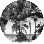 Samolepicí dekorace kulatá,  Monochromatic Palms CR3309, 140 x 140 cm - Self-Adhesive Decoration