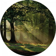 Samolepicí dekorace kulatá,  Magic Forest CR3310, 140 x 140 cm - Self-Adhesive Decoration