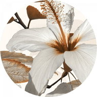 Samolepicí dekorace kulatá,  Lily CR3317, 140 x 140 cm - Self-Adhesive Decoration