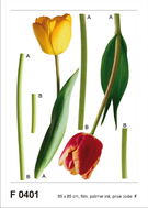 F0401 Self-adhesive Decoration 2 TULIPS 65 x 85cm - Öntapadó dekoráció