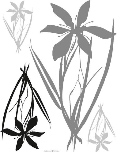 F0443 Self-adhesive Decoration FLORA BLACK GREY 65 x 85cm - Self-Adhesive Decoration - Main image