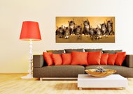 AG Design 1 Piece Wall Mural CATS FTNH 2704, 202 x 90cm Fleece - Photo Wallpaper