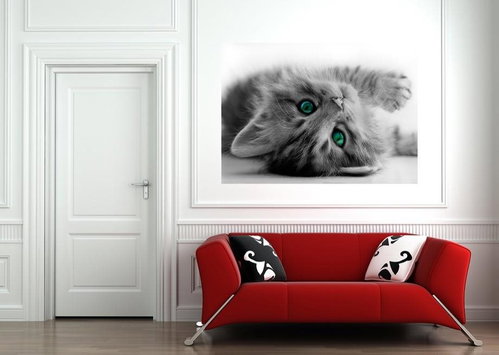 AG Design 1 Piece Wall Mural PUSSY FTNM 2605, 160 x 110cm Fleece - Photo Wallpaper - Main image