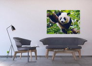 AG Design 1 piece Wall Mural PANDA FTNM 2610, 160 x 110cm Fleece - Photo Wallpaper