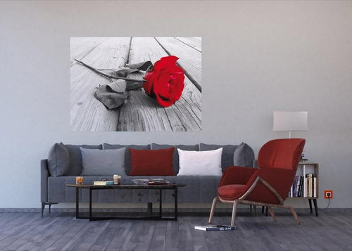 AG Design 1 piece Wall Mural RED ROSE FTNM 2619, 160 x 110cm Fleece - Photo Wallpaper - Main image