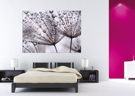 AG Design 1 piece Wall Mural AFTER RAIN FTNM 2637, 160 x 110cm Fleece - Photo Wallpaper