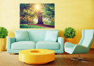 AG Design 1 piece Wall Mural FREE FTNM 2657, 160 x 110cm Fleece - Photo Wallpaper