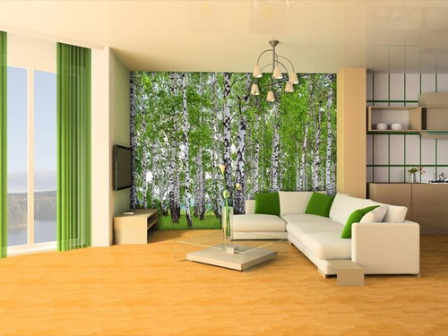 AG Design 4-piece Wall Mural BERRY-BIRCH FTNS 2448, 360 x 270cm Fleece - Photo Wallpaper - Main image