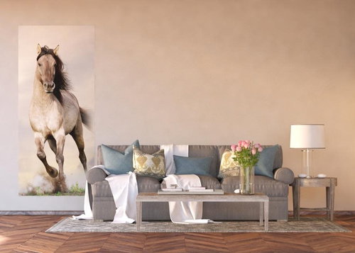 AG Design 1 piece Wall Mural GALLOPING HORSE FTNV 2928, 90 x 202cm Fleece - Photo Wallpaper - Main image