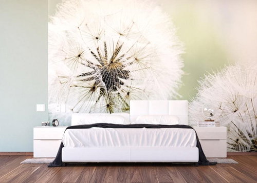 AG Design 4-piece Wall Mural DANDELION FTNXXL 0477, 360 x 270cm Fleece - Photo Wallpaper - Main image