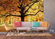 AG Design 4-piece Wall Mural TREE FTNXXL 2427, 360 x 270cm Fleece - Photo Wallpaper