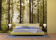 AG Design 4-piece Wall Mural MORNING FOREST FTS 0181, 360 x 254cm Paper - Photo Wallpaper