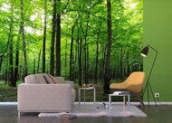 AG Design 4-piece Wall Mural FOREST FTS 1324, 360 x 254cm Paper - Photo Wallpaper