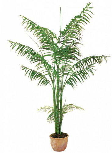 Areca palm 4 trunks, 240 cm - Artificial Tree - Main image