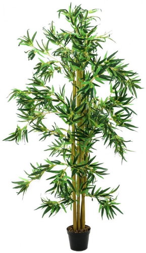 Bamboo multi trunk 210 cm - Artificial Tree - Main image