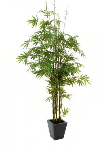 Bamboo tree with black trunk, 240 cm - Artificial Tree - Main image